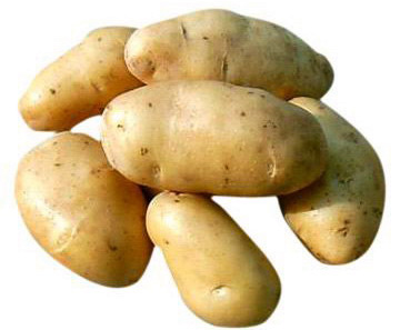 Местной картошке – «зеленый свет»